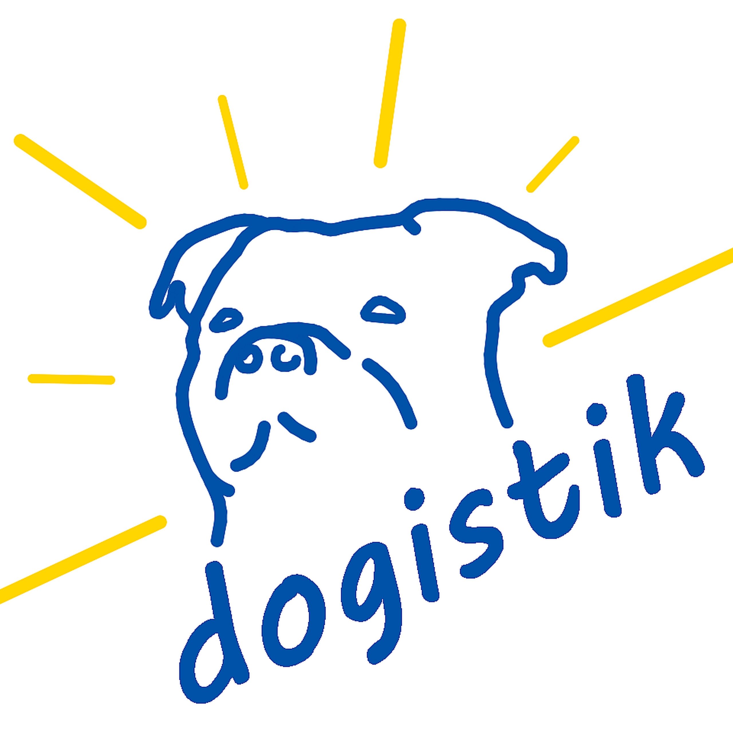 dogistik